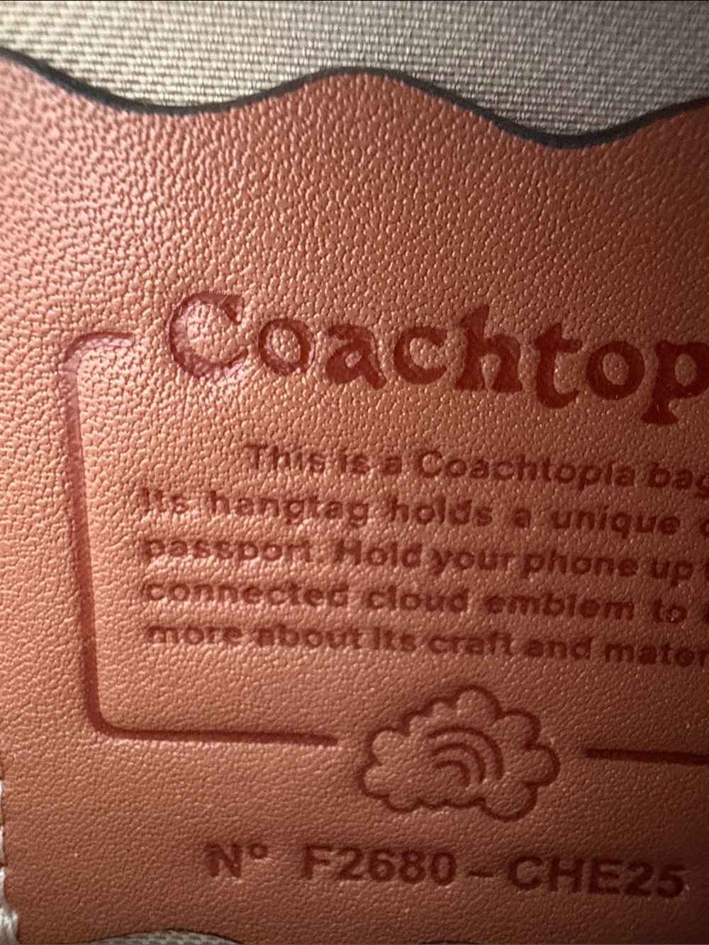 Coachtopia Alter Ego Slouchy Shoulder Bag - Picture 6 of 9